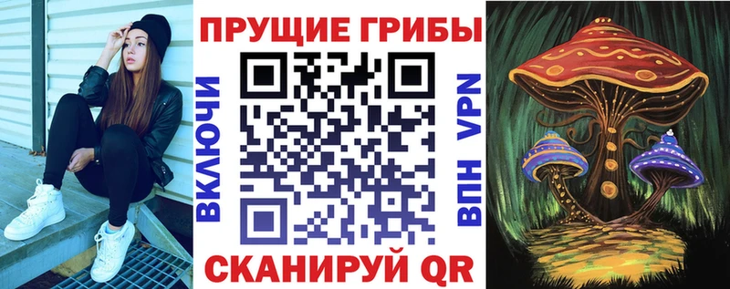 Псилоцибиновые грибы MAGIC MUSHROOMS Тогучин