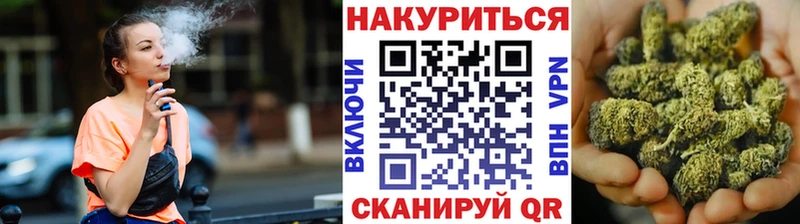 Бошки Шишки Amnesia  Тогучин 